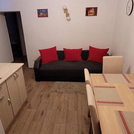 Apartament Miruna Sibiu Filarmonicii Bagian luar foto
