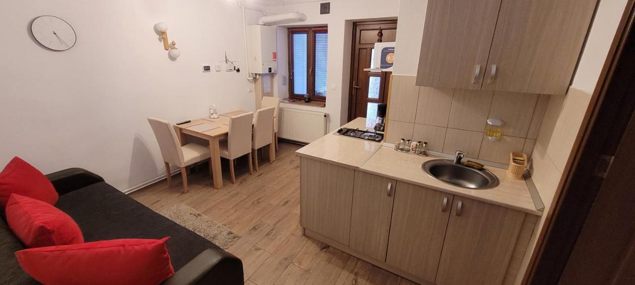 Apartament Miruna Sibiu Filarmonicii Bagian luar foto