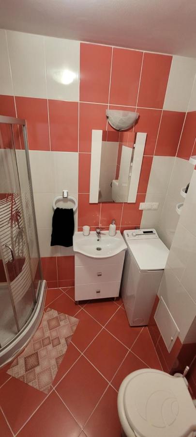 Apartament Miruna Sibiu Filarmonicii Bagian luar foto