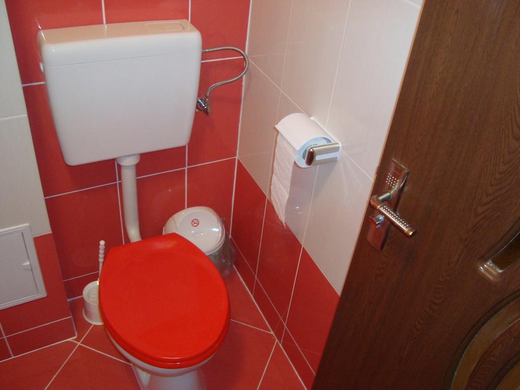 Apartament Miruna Sibiu Filarmonicii Ruang foto